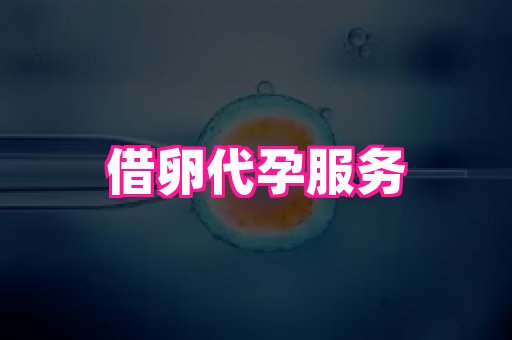 江苏助孕网 1