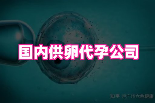 江苏助孕网 4